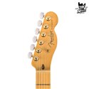 Fender Telecaster Rarities Collection Red Mahogany Top MN Natural