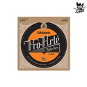 D'Addario EJ43 Pro-Arté Nylon Classic Light 27-42