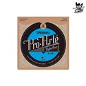 D'Addario EJ46 Pro-Arté Nylon Classic Hard Tension 29-44