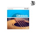 D'Addario EJ16 Phosphor Bronze Acoustic Light 12-53