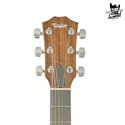 Taylor Academy 10e Natural
