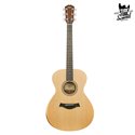 Taylor Academy 12 Natural