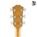 Taylor Academy 12 Natural
