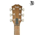 Taylor AD27e American Dream Flametop V-Class Shaded Edgeburst