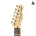 Fender Telecaster American Performer RW Satin Sonic Blue