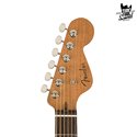 Fender Parlor Highway RW All Mahogany