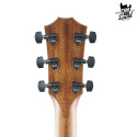 Taylor 324ce V-Class Mahogany Shaded Edge Burst