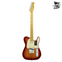Fender Telecaster American Professional II MN Sienna Sunburst