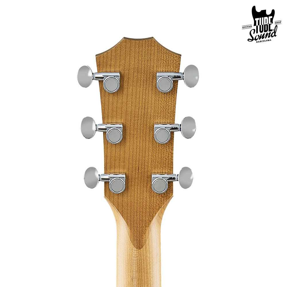Taylor 24ce Sapele
