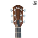 Taylor 14ce Sapele