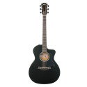 Taylor 214ce BLK Plus