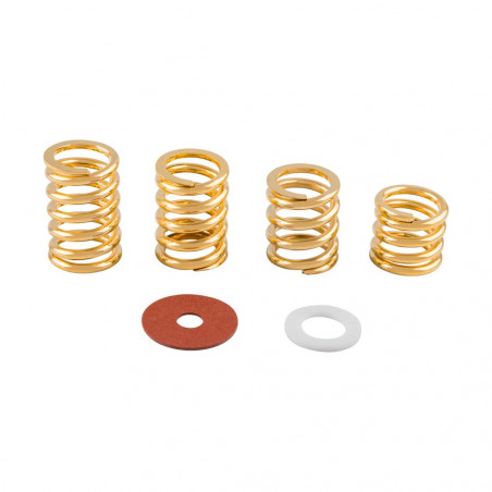 Fender Bigsby Spring & Washer Pack Gold