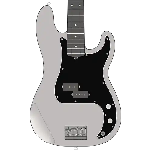 Custom Shop